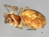  ( - CCDB-04551-D08)  @13 [ ] CreativeCommons - Attribution (2010) Unspecified Centre for Biodiversity Genomics