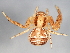  ( - CCDB-04551-D11)  @13 [ ] CreativeCommons - Attribution (2010) Unspecified Centre for Biodiversity Genomics