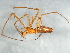  ( - CCDB-04552-H06)  @13 [ ] CreativeCommons - Attribution (2010) Unspecified Centre for Biodiversity Genomics