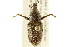  ( - BIOUG02027-D09)  @14 [ ] CreativeCommons - Attribution (2012) CBG Photography Group Centre for Biodiversity Genomics