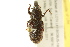  ( - BIOUG02027-D12)  @14 [ ] CreativeCommons - Attribution (2012) CBG Photography Group Centre for Biodiversity Genomics