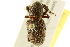  ( - BIOUG02027-E02)  @14 [ ] CreativeCommons - Attribution (2012) CBG Photography Group Centre for Biodiversity Genomics