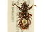  ( - BIOUG02027-E09)  @14 [ ] CreativeCommons - Attribution (2012) CBG Photography Group Centre for Biodiversity Genomics