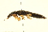  ( - BIOUG02029-A08)  @13 [ ] CreativeCommons - Attribution (2012) CBG Photography Group Centre for Biodiversity Genomics