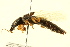  ( - BIOUG02029-A09)  @12 [ ] CreativeCommons - Attribution (2012) CBG Photography Group Centre for Biodiversity Genomics