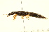  ( - BIOUG02029-A10)  @12 [ ] CreativeCommons - Attribution (2012) CBG Photography Group Centre for Biodiversity Genomics