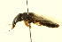  ( - BIOUG02029-B02)  @13 [ ] CreativeCommons - Attribution (2012) CBG Photography Group Centre for Biodiversity Genomics