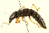  ( - BIOUG02029-B03)  @13 [ ] CreativeCommons - Attribution (2012) CBG Photography Group Centre for Biodiversity Genomics