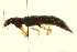  ( - BIOUG02029-B04)  @13 [ ] CreativeCommons - Attribution (2012) CBG Photography Group Centre for Biodiversity Genomics