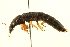  ( - BIOUG02029-B06)  @12 [ ] CreativeCommons - Attribution (2012) CBG Photography Group Centre for Biodiversity Genomics