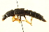  ( - BIOUG02029-B07)  @12 [ ] CreativeCommons - Attribution (2012) CBG Photography Group Centre for Biodiversity Genomics