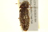  ( - BIOUG02052-A01)  @13 [ ] CreativeCommons - Attribution (2012) CBG Photography Group Centre for Biodiversity Genomics