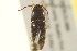  ( - BIOUG02052-C09)  @11 [ ] CreativeCommons - Attribution (2012) CBG Photography Group Centre for Biodiversity Genomics