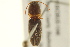  ( - BIOUG02052-C10)  @13 [ ] CreativeCommons - Attribution (2012) CBG Photography Group Centre for Biodiversity Genomics