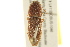  ( - BIOUG02052-C12)  @14 [ ] CreativeCommons - Attribution (2012) CBG Photography Group Centre for Biodiversity Genomics