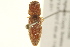  ( - BIOUG02052-D02)  @14 [ ] CreativeCommons - Attribution (2012) CBG Photography Group Centre for Biodiversity Genomics