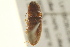  ( - BIOUG02052-E01)  @12 [ ] CreativeCommons - Attribution (2012) CBG Photography Group Centre for Biodiversity Genomics