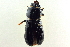  ( - BIOUG02062-H10)  @13 [ ] CreativeCommons - Attribution (2013) CBG Photography Group Centre for Biodiversity Genomics