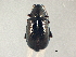  ( - BIOUG02284-A09)  @14 [ ] CreativeCommons - Attribution (2012) CBG Photography Group Centre for Biodiversity Genomics