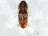  ( - BIOUG02312-A01)  @13 [ ] CreativeCommons - Attribution (2012) CBG Photography Group Centre for Biodiversity Genomics