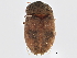  ( - BIOUG02320-E10)  @13 [ ] CreativeCommons - Attribution (2012) CBG Photography Group Centre for Biodiversity Genomics