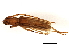  ( - BIOUG02328-F10)  @12 [ ] CreativeCommons - Attribution (2013) CBG Photography Group Centre for Biodiversity Genomics