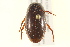  ( - BIOUG02030-C08)  @14 [ ] CreativeCommons - Attribution (2012) CBG Photography Group Centre for Biodiversity Genomics