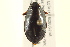  ( - BIOUG02030-C10)  @13 [ ] CreativeCommons - Attribution (2012) CBG Photography Group Centre for Biodiversity Genomics