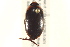  ( - BIOUG02030-D08)  @14 [ ] CreativeCommons - Attribution (2012) CBG Photography Group Centre for Biodiversity Genomics