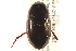  (Hydrobiomorpha - BIOUG02030-E04)  @14 [ ] CreativeCommons - Attribution (2012) CBG Photography Group Centre for Biodiversity Genomics