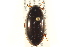  ( - BIOUG02030-E06)  @13 [ ] CreativeCommons - Attribution (2012) CBG Photography Group Centre for Biodiversity Genomics