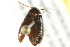  ( - BIOUG02013-C07)  @12 [ ] CreativeCommons - Attribution (2012) CBG Photography Group Centre for Biodiversity Genomics