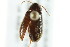  ( - BIOUG02013-C09)  @12 [ ] CreativeCommons - Attribution (2012) CBG Photography Group Centre for Biodiversity Genomics