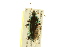  ( - BIOUG02012-A08)  @14 [ ] CreativeCommons - Attribution (2012) CBG Photography Group Centre for Biodiversity Genomics