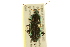  ( - BIOUG02012-A09)  @14 [ ] CreativeCommons - Attribution (2012) CBG Photography Group Centre for Biodiversity Genomics