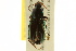  ( - BIOUG02012-A10)  @14 [ ] CreativeCommons - Attribution (2012) CBG Photography Group Centre for Biodiversity Genomics