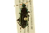  ( - BIOUG02012-B01)  @14 [ ] CreativeCommons - Attribution (2012) CBG Photography Group Centre for Biodiversity Genomics