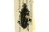  ( - BIOUG02012-B02)  @14 [ ] CreativeCommons - Attribution (2012) CBG Photography Group Centre for Biodiversity Genomics