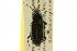  ( - BIOUG02012-B04)  @14 [ ] CreativeCommons - Attribution (2012) CBG Photography Group Centre for Biodiversity Genomics