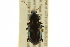  ( - BIOUG02012-B07)  @14 [ ] CreativeCommons - Attribution (2012) CBG Photography Group Centre for Biodiversity Genomics