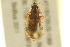  ( - BIOUG02014-E03)  @13 [ ] CreativeCommons - Attribution (2012) CBG Photography Group Centre for Biodiversity Genomics