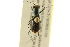  ( - BIOUG02016-C05)  @12 [ ] CreativeCommons - Attribution (2012) CBG Photography Group Centre for Biodiversity Genomics