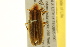  ( - BIOUG02016-E08)  @13 [ ] CreativeCommons - Attribution (2012) CBG Photography Group Centre for Biodiversity Genomics