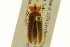  ( - BIOUG02016-F09)  @12 [ ] CreativeCommons - Attribution (2012) CBG Photography Group Centre for Biodiversity Genomics