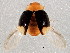  ( - BIOUG02273-D03)  @13 [ ] CreativeCommons - Attribution (2012) CBG Photography Group Centre for Biodiversity Genomics