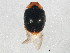  ( - BIOUG02273-F02)  @13 [ ] CreativeCommons - Attribution (2012) CBG Photography Group Centre for Biodiversity Genomics
