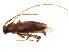  ( - BIOUG02279-D02)  @14 [ ] CreativeCommons - Attribution (2012) CBG Photography Group Centre for Biodiversity Genomics