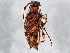  ( - BIOUG02279-E05)  @12 [ ] CreativeCommons - Attribution (2012) CBG Photography Group Centre for Biodiversity Genomics