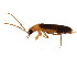  ( - BIOUG02281-C12)  @12 [ ] CreativeCommons - Attribution (2012) CBG Photography Group Centre for Biodiversity Genomics