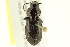  ( - 10PCCOL-1150)  @14 [ ] CreativeCommons - Attribution (2010) CBG Photography Group Centre for Biodiversity Genomics